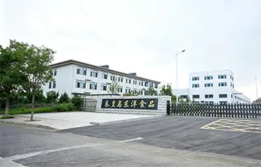 Com um investimento de 250 milhões de RMB e uma fábrica de 40.000㎡, a Dongyang Foods construiu uma base sólida para a produção de macarrão instantâneo de alta qualidade. Com um investimento de 250 milhões de RMB e uma fábrica de 40.000㎡, a Dongyang Foods construiu uma base sólida para a produção de macarrão instantâneo de alta qualidade.