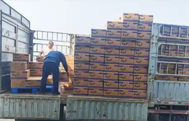 Por quantos pontos de controle uma panqueca de macarrão Mala Tang (panela quente picante) deve passar antes de ser carregada em um caminhão em Shenyang?