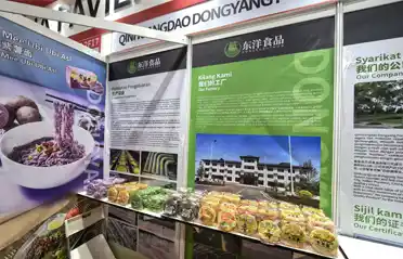 Procurando macarrão não frito na Malásia? Qinhuangdao Dongyang Food Showcases na Exposição Internacional Halal Procurando macarrão não frito na Malásia? Qinhuangdao Dongyang Food Showcases na Exposição Internacional Halal